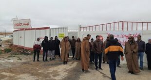 فرص عمل متميزة في شركة كوسيدار - 44 منصب