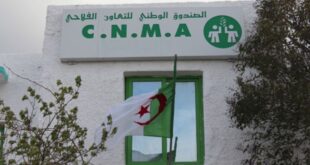 CNMA قروض جديدة وخدمات متنوعة في 2024