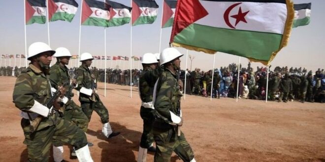 بريطانيا تجدّد دعمها لتقرير مصير الصحراء الغربية وتؤكد التزامها بالقانون الإنساني الدولي
