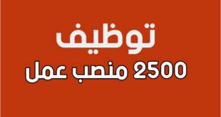 صالون التوظيف أمبلواتيك كونكت - 2500+ عرض عمل في مختلف التخصصات!