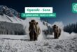 Sora: ظاهرة جديدة تجتاح مواقع التواصل الاجتماعي مع انتشار الذكاء الاصطناعي
