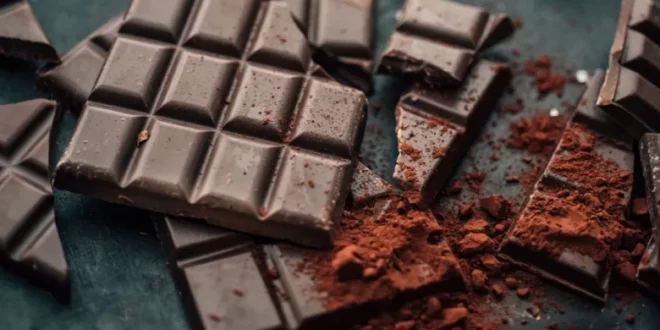 أطعمة مسكرة لتعزيز صحة الدماغ ومكافحة مرض الزهايمر | نصائح الدكتور روبرت لوف