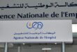تحديث مهني: وكالة التشغيل تتصل بالجامعيين لتغيير مهنهم