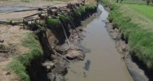 تحذير من تبعات إستعمال مياه الصرف الصحي في سقي المحاصيل الفلاحية بالجلفة