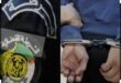 تعزيز الأمن ومكافحة الجريمة: جهود ميدانية مستمرة في الجلفة