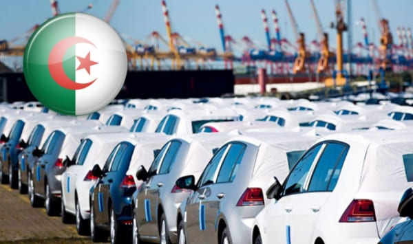 توقعات ارتفاع تسويق ربع مليون سيارة جديدة في السوق الجزائرية لعام 2024
