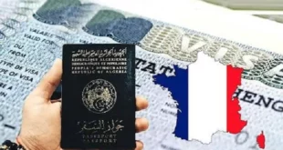 إحصائيات طلبات تأشيرة شنغن للجزائريين في 2022