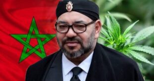 تقرير دولي يكشف: المغرب يعزز تواجده كمصدر رئيسي للمخدرات في منطقة الساحل