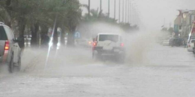توقعات الطقس: تساقط أمطار غزيرة يوم الأحد في الجزائر العاصمة وولايات أخرى