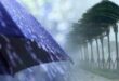 توقعات حالة الطقس ليوم الجمعة: تساقط أمطار رعدية ورياح قوية في بعض الولايات