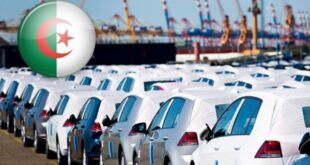 توقعات لسوق السيارات في الجزائر لعام 2024 نمو الصناعة وتحولات في الاقتصاد