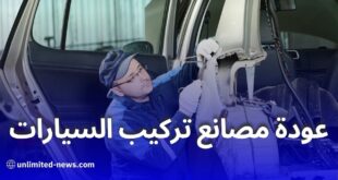 تعديلات جديدة لصناعة السيارات بالجزائر: إحياء الصناعة وتقديم تسهيلات