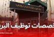 التخصصات الجامعية المطلوبة للتوظيف في بريد الجزائر لعام 2025: مسابقة جديدة بـ 476 منصب شغل