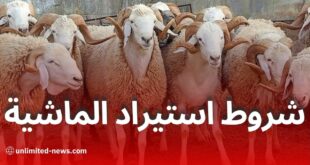 الجزائر تستعد لاستيراد مليون رأس من الماشية لعيد الأضحى – الأسعار والشروط