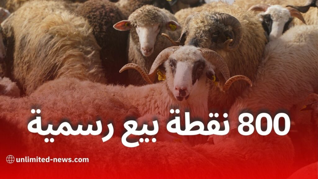 "ألفيار" تطلق عملية بيع الأضاحي عبر 800 نقطة بيع في 58 ولاية