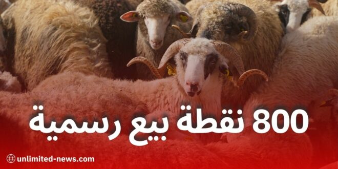 "ألفيار" تطلق عملية بيع الأضاحي عبر 800 نقطة بيع في 58 ولاية