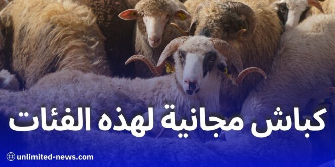 توزيع الكباش المستوردة مجانًا لبعض الفئات في الجزائر بمناسبة عيد الأضحى 2025