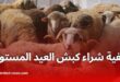 كبش العيد بـ4 ملايين: طريقة التسجيل والاستلام في الجزائر