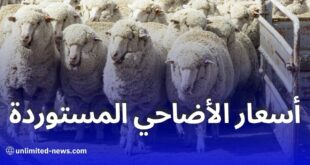 استيراد مليون رأس غنم من رومانيا: توزيع على كل ولايات الجزائر بأسعار في متناول الجميع