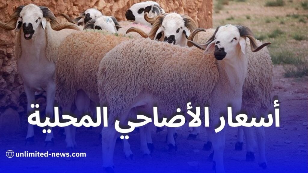 انخفاض قياسي في أسعار أضاحي العيد 2025 بالجزائر
