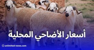 انخفاض قياسي في أسعار أضاحي العيد 2025 بالجزائر