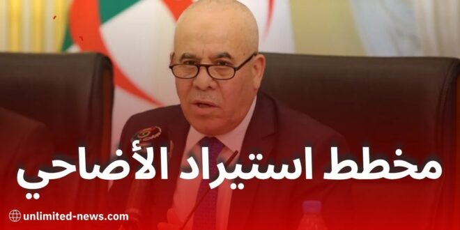 الحكومة تطلق خطة لاستيراد وتوزيع أضاحي عيد الأضحى