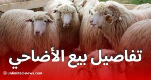 انطلاق بيع الأضاحي المستوردة في الجزائر الأسبوع المقبل بسعر ثابت 40 ألف دج للرأس
