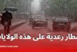 طقس الأحد: أمطار رعدية متوقعة بهذه المناطق