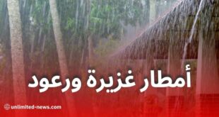 تنبيه من الديوان الوطني للأرصاد الجوية: أمطار رعدية في عدة ولايات يوم الاثنين