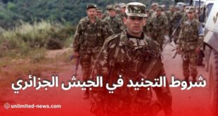 هذه هي الرتب العسكرية في الجيش الوطني الجزائري حسب المستوى الدراسي 2025