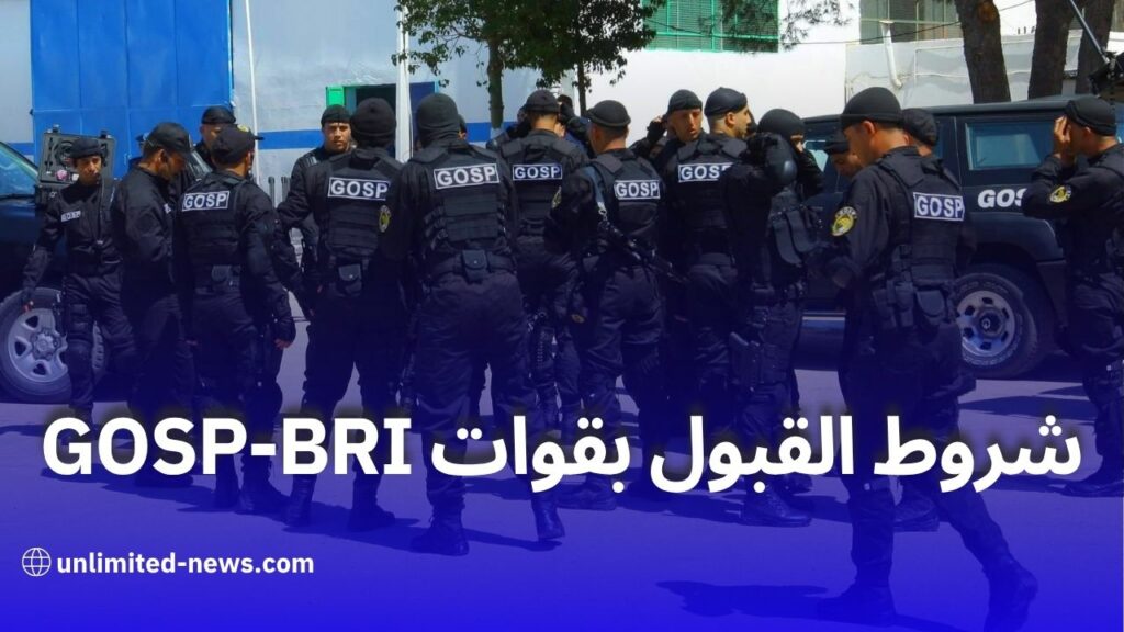 كيف تصبح أحد أفراد قوات "البياري" في الجزائر؟.. إليك الشروط الكاملة