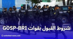 كيف تصبح أحد أفراد قوات "البياري" في الجزائر؟.. إليك الشروط الكاملة