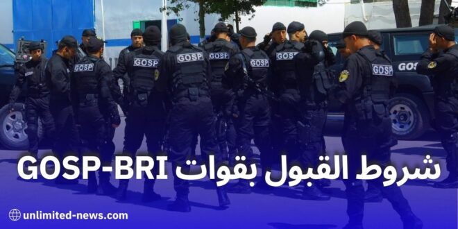 كيف تصبح أحد أفراد قوات “البياري” في الجزائر؟.. إليك الشروط الكاملة
