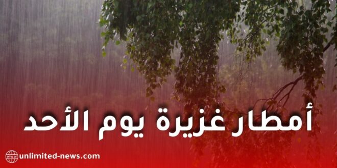 أمطار غزيرة يوم الأحد على عدة ولايات جزائرية.. الأرصاد الجوية تحذر!