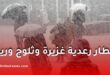 أمطار رعدية غزيرة وثلوج ورياح بداية من الخميس