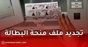 وزارة العمل تطلق لجنة لدراسة آليات تجديد ملف منحة البطالة