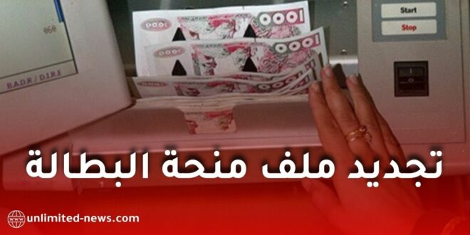 وزارة العمل تطلق لجنة لدراسة آليات تجديد ملف منحة البطالة