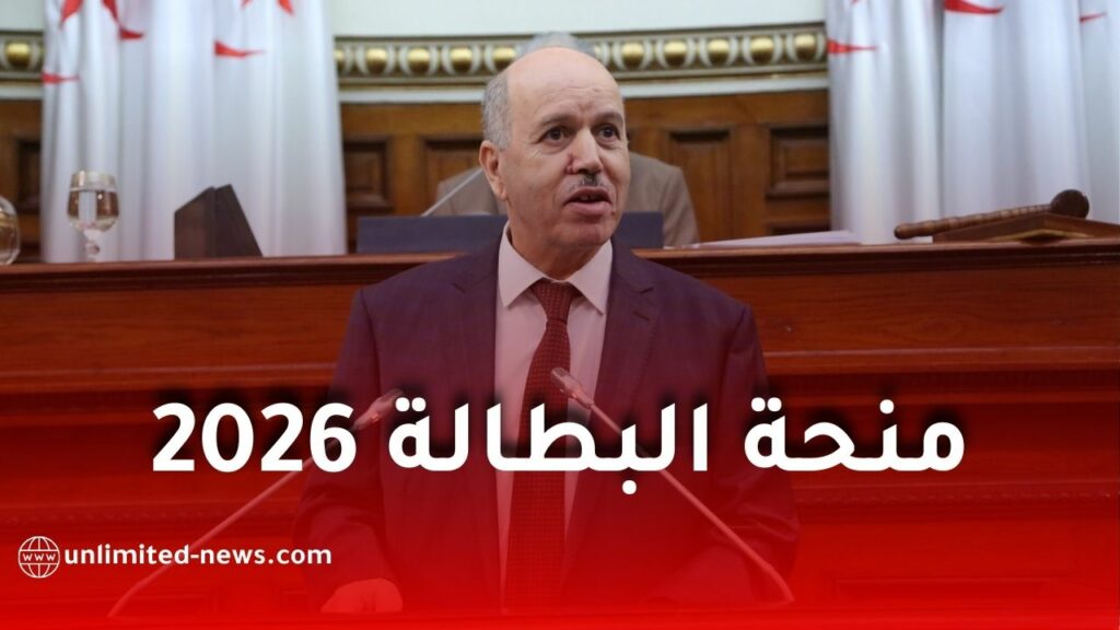 وزير العمل يكشف عن تفاصيل ومستجدات جديدة حول منحة البطالة