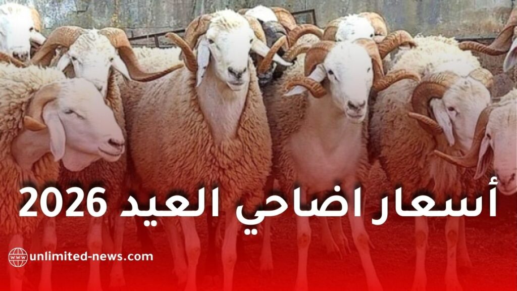 بهذه الطريقة سيتم تحديد أسعار أضاحي عيد الأضحى 2026