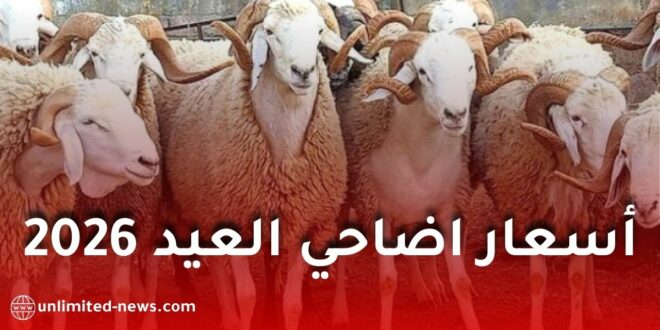 بهذه الطريقة سيتم تحديد أسعار أضاحي عيد الأضحى 2026