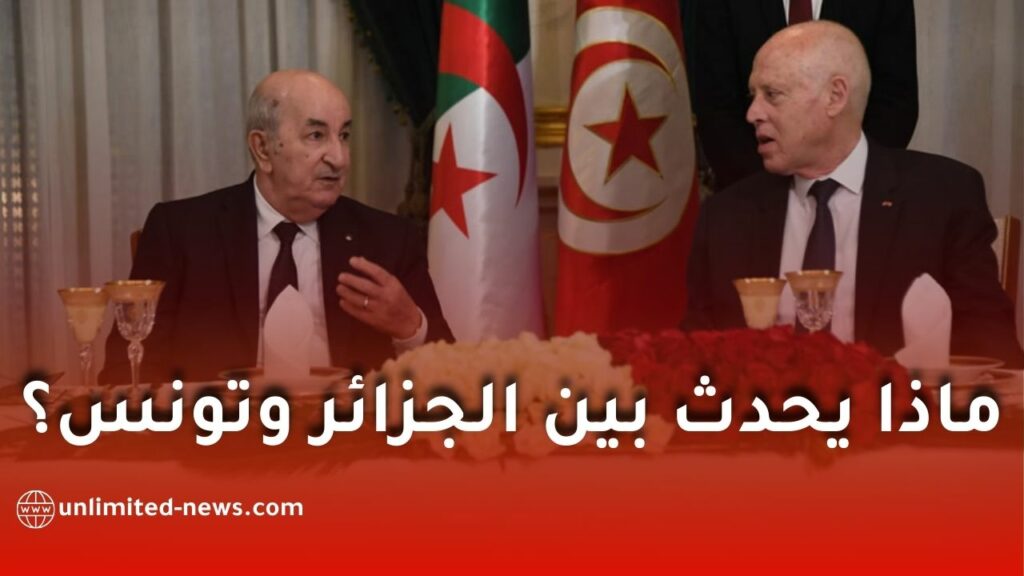 الرئيس التونسي قيس سعيّد ينفي وثائق مزعومة حول اتفاقيات دفاعية مع الجزائر وملف الهجرة