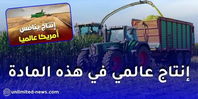 الجزائر تنافس أمريكا بعد تحقيق أعلى إنتاج عالمي في هذه المادة