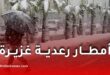 تساقط أمطار رعدية غزيرة على عدة ولايات جزائرية