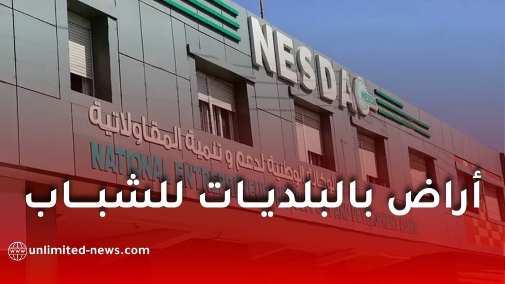 أراضٍ للشباب في البلديات: كل ما تحتاج معرفته عن المنح والشروط