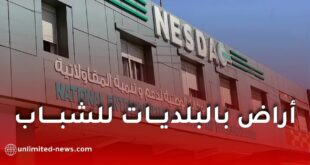 أراضٍ للشباب في البلديات: كل ما تحتاج معرفته عن المنح والشروط