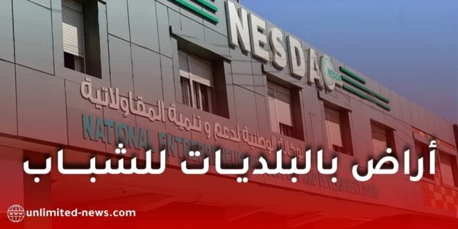 أراضٍ للشباب في البلديات: كل ما تحتاج معرفته عن المنح والشروط