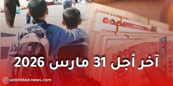 انطلاق استقبال ملفات المنحة المدرسية 2026/2027 بقيمة 5 آلاف دينار.. آخر أجل 31 مارس