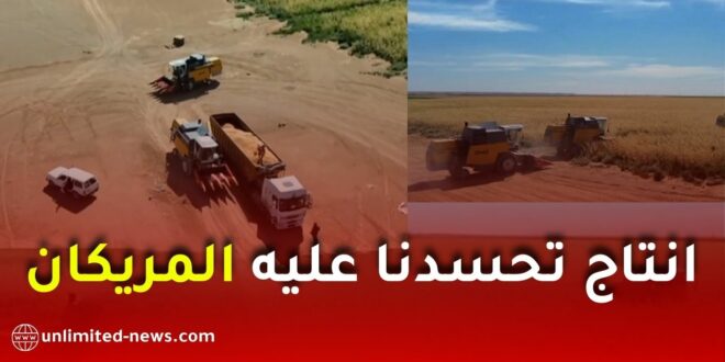 إنتاج قياسي لمادة كانت تحت هيمنة أمريكا وتكلف الجزائر مليارات الدراهم في الاستيراد