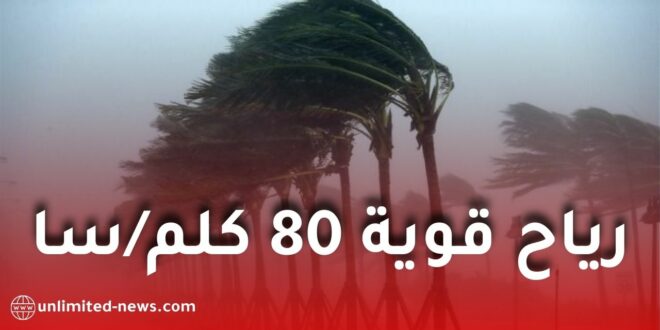 تحذير من رياح قوية تصل إلى 80 كلم/سا على عدة ولايات بالجزائر