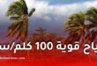 رياح قوية تتجاوز 100 كلم/سا تضرب عدة ولايات في الجزائر
